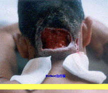 ng电子游戏(中国集团)官方网站