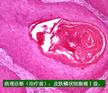 ng电子游戏(中国集团)官方网站