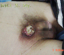 ng电子游戏(中国集团)官方网站