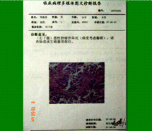 ng电子游戏(中国集团)官方网站