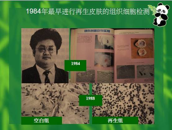 ng电子游戏(中国集团)官方网站