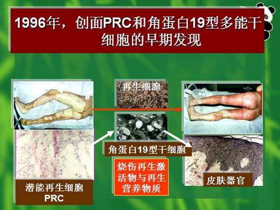 ng电子游戏(中国集团)官方网站