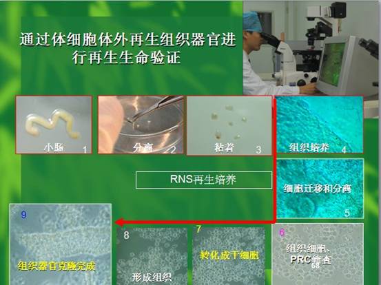 ng电子游戏(中国集团)官方网站