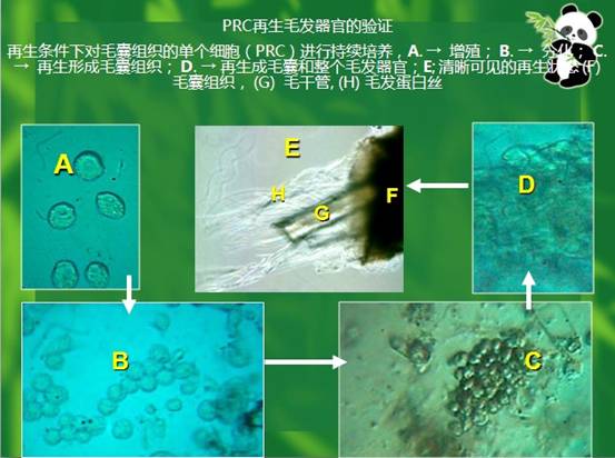 ng电子游戏(中国集团)官方网站