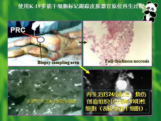 ng电子游戏(中国集团)官方网站