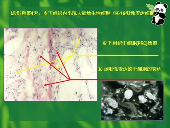 ng电子游戏(中国集团)官方网站