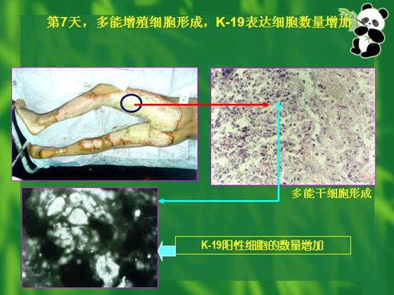 ng电子游戏(中国集团)官方网站