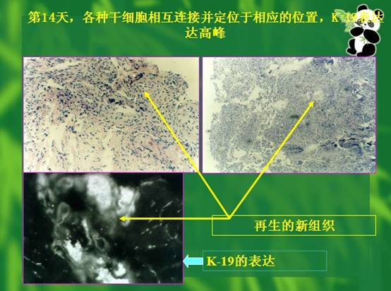 ng电子游戏(中国集团)官方网站