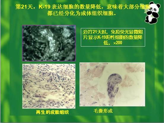 ng电子游戏(中国集团)官方网站