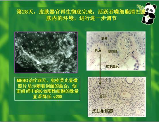 ng电子游戏(中国集团)官方网站