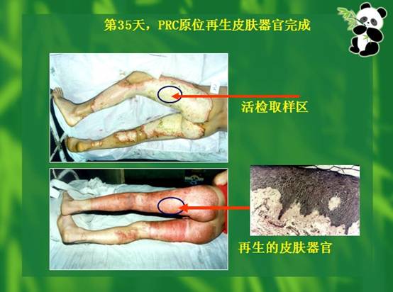 ng电子游戏(中国集团)官方网站