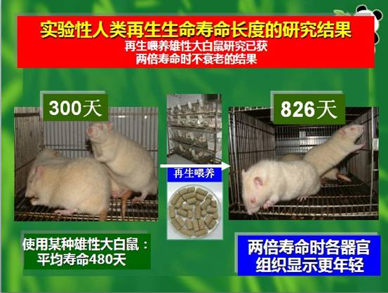 ng电子游戏(中国集团)官方网站