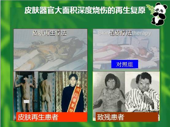 ng电子游戏(中国集团)官方网站