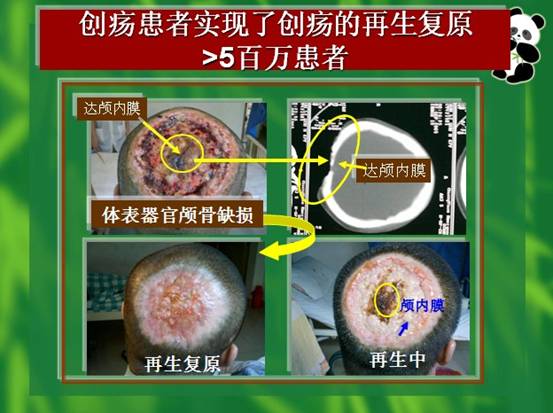 ng电子游戏(中国集团)官方网站