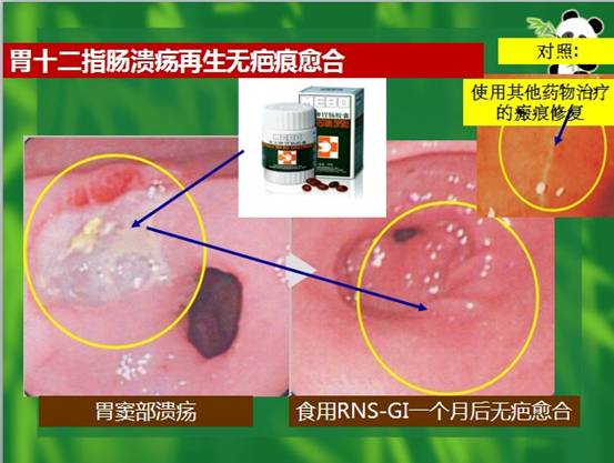 ng电子游戏(中国集团)官方网站