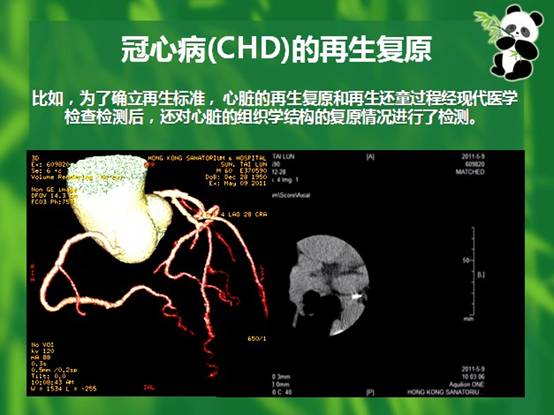 ng电子游戏(中国集团)官方网站