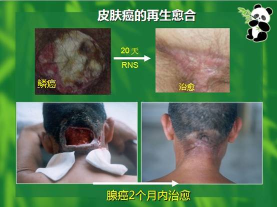 ng电子游戏(中国集团)官方网站