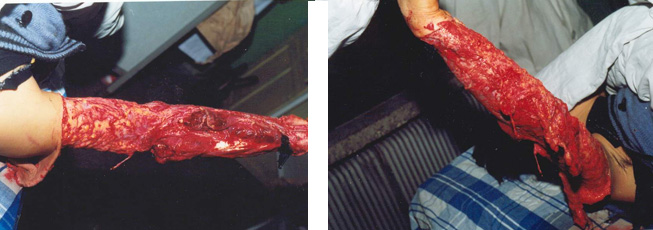 ng电子游戏(中国集团)官方网站