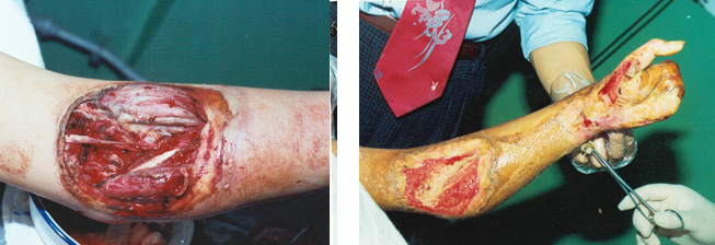 ng电子游戏(中国集团)官方网站