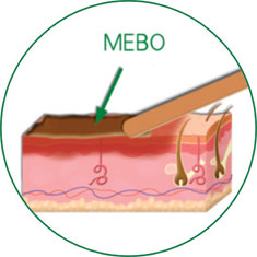 ng电子游戏(中国集团)官方网站