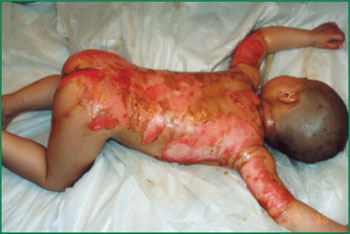 ng电子游戏(中国集团)官方网站