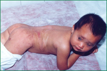 ng电子游戏(中国集团)官方网站