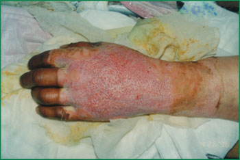 ng电子游戏(中国集团)官方网站