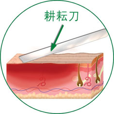 ng电子游戏(中国集团)官方网站