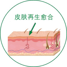 ng电子游戏(中国集团)官方网站