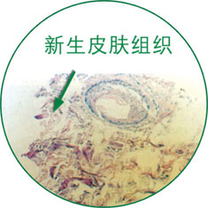 ng电子游戏(中国集团)官方网站