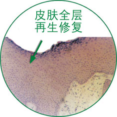 ng电子游戏(中国集团)官方网站