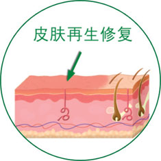 ng电子游戏(中国集团)官方网站