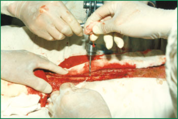 ng电子游戏(中国集团)官方网站