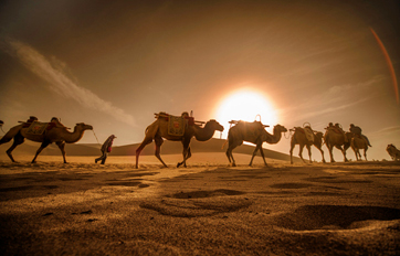 ng电子游戏国际 “一带一起”建议培训平台