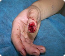 ng电子游戏(中国集团)官方网站