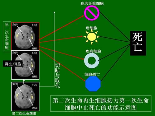 ng电子游戏(中国集团)官方网站
