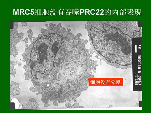 ng电子游戏(中国集团)官方网站