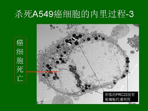 ng电子游戏(中国集团)官方网站