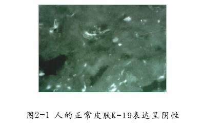 ng电子游戏(中国集团)官方网站