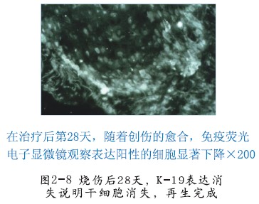 ng电子游戏(中国集团)官方网站