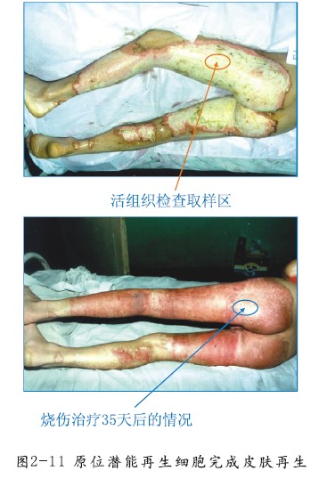 ng电子游戏(中国集团)官方网站