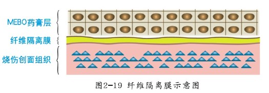 ng电子游戏(中国集团)官方网站