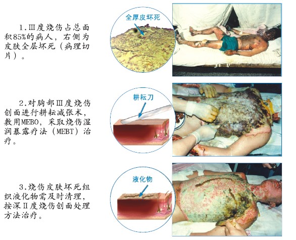 ng电子游戏(中国集团)官方网站